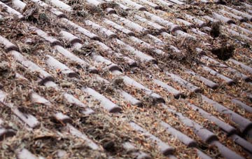 Bulmer roof cleaning companies