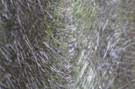 Bulmer fibreglass roof work